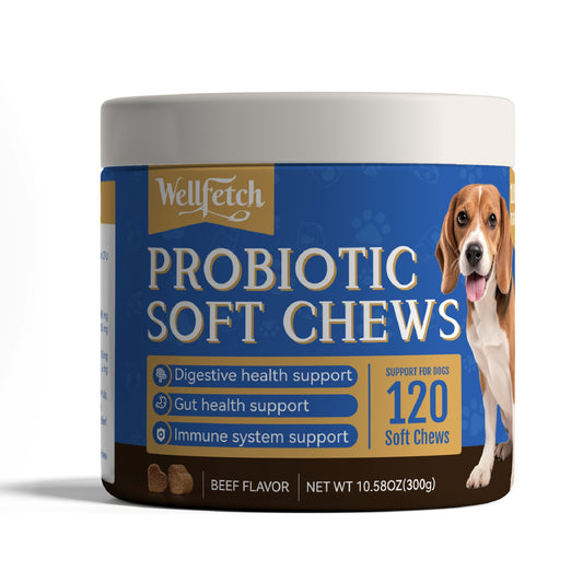 WellFetch Probiotic Soft Chews for Dogs – 6-Strain Blend, 6 Billion CFU, Digestive & Gut Support – 120 Soft Chews